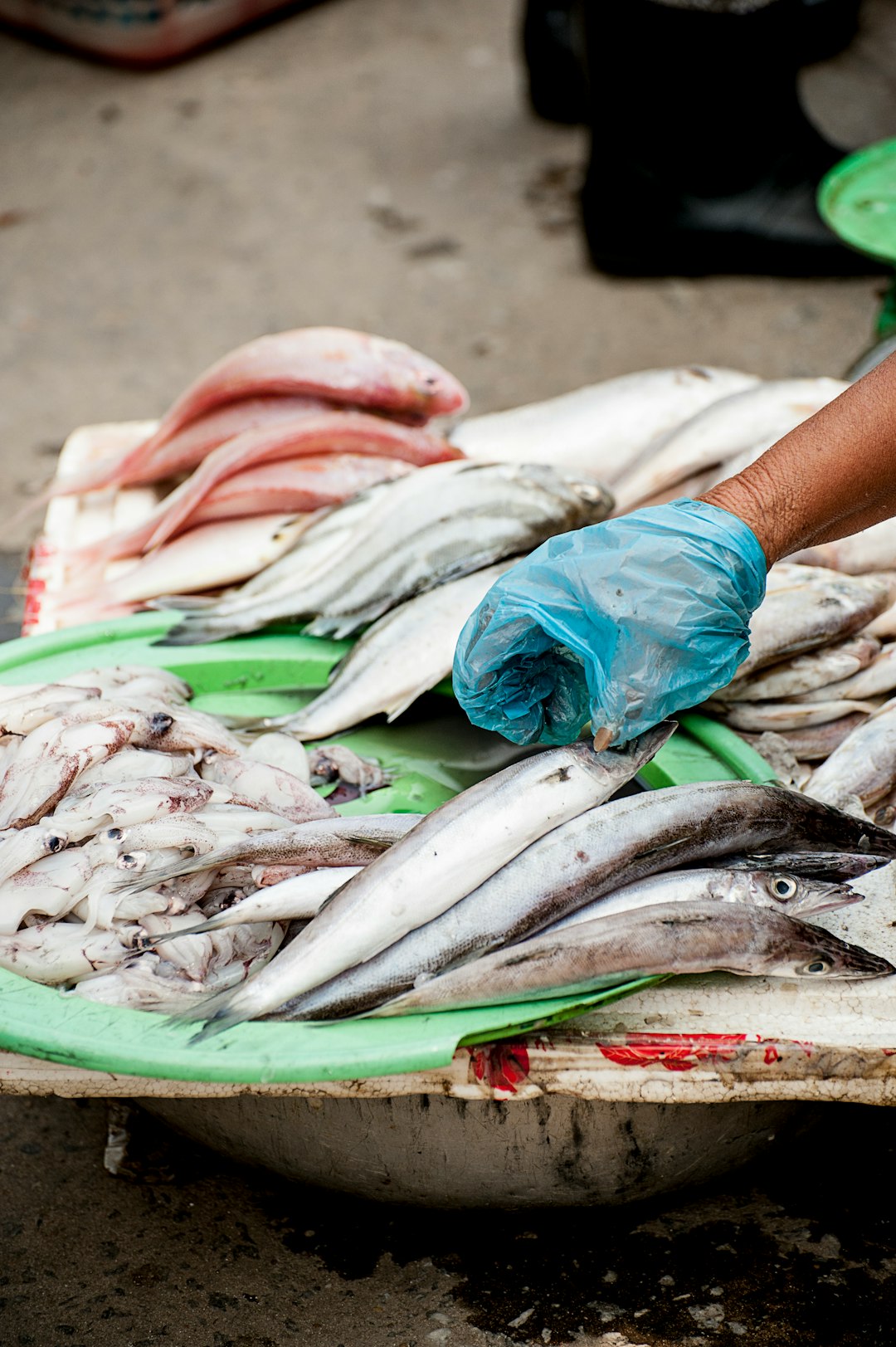 person wearing blue cellophane about to pick fish on table