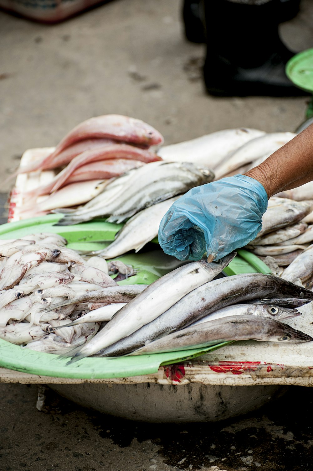 person wearing blue cellophane about to pick fish on table