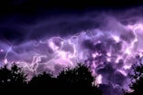 silhouette of trees and purple lightning