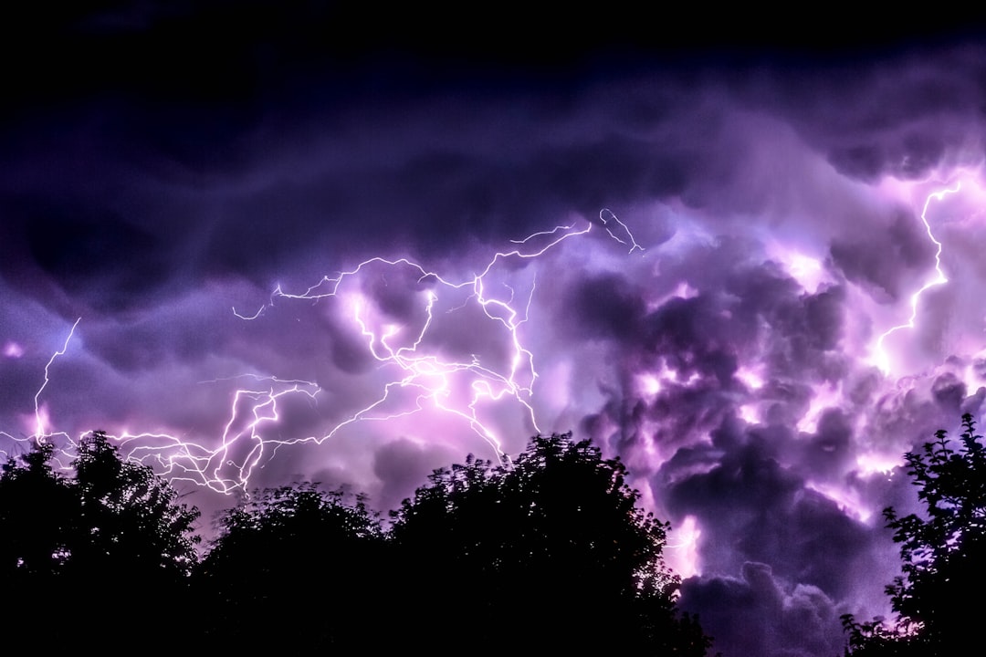 purple skies with lightning and a blackened treeline