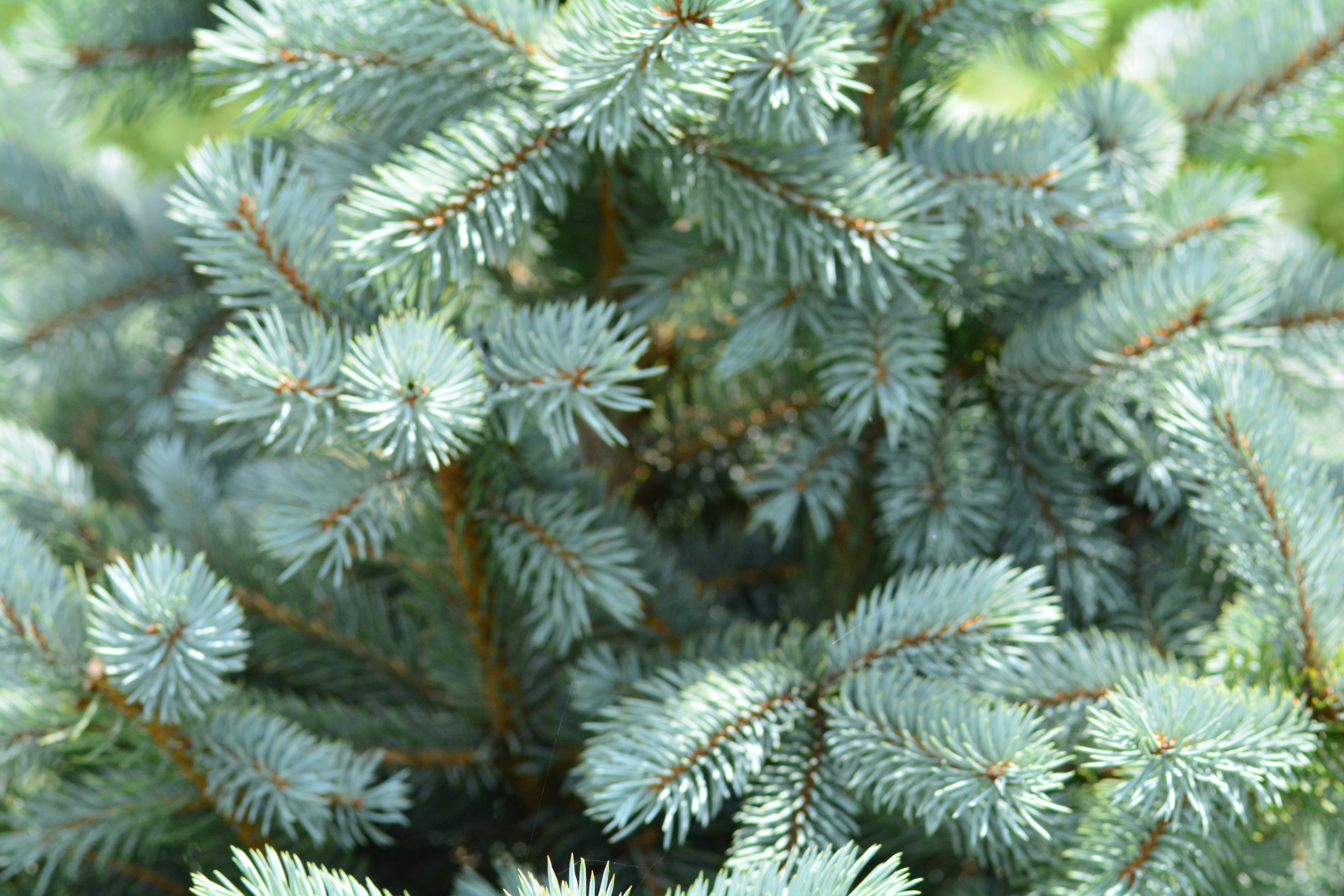 Free Unsplash photo from john bell