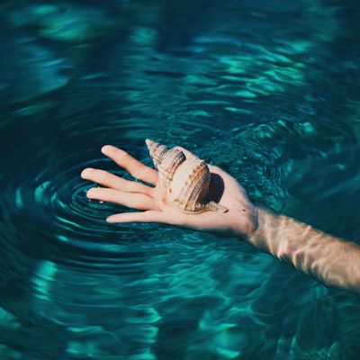 tp.web.random_picture