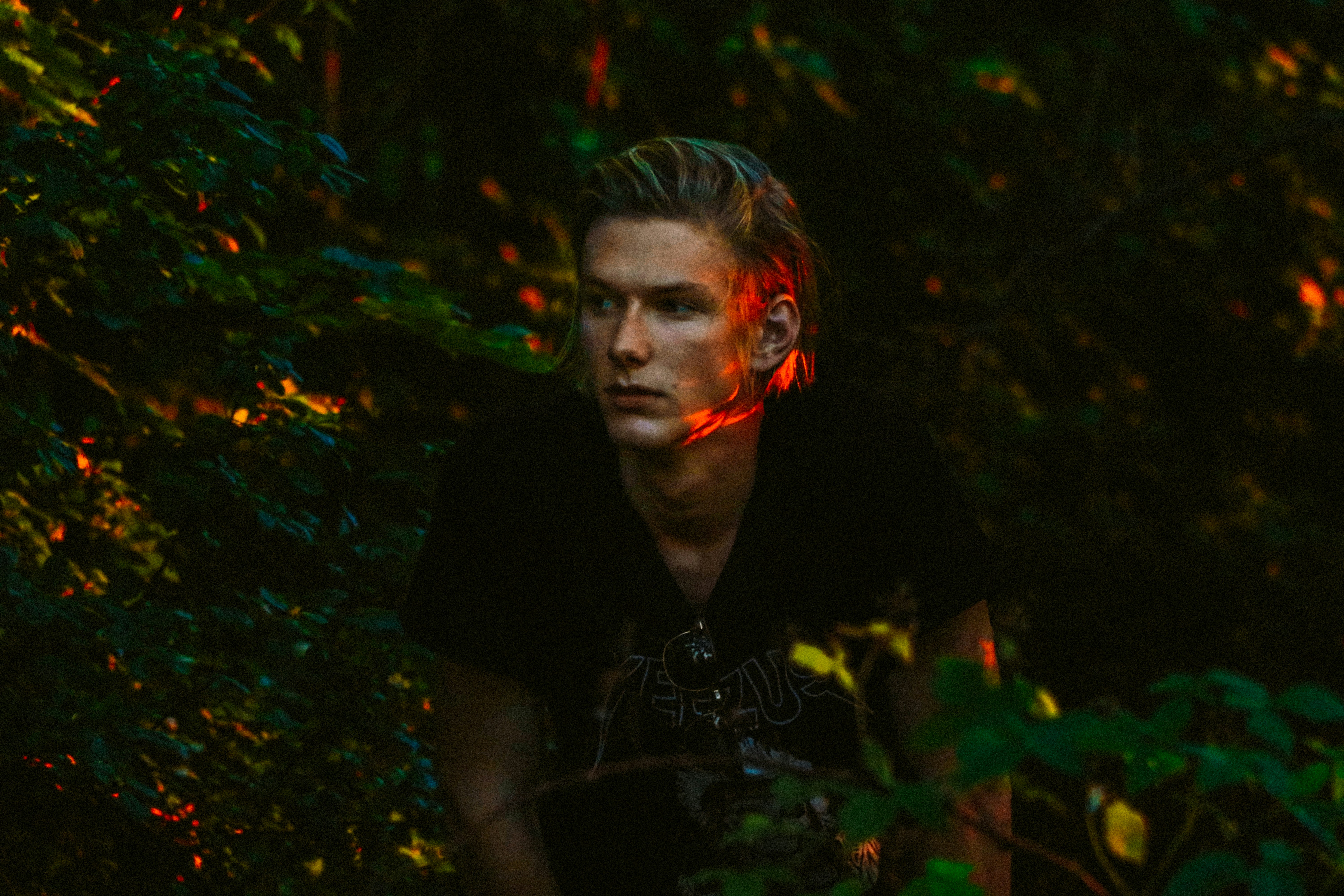 Free Unsplash photo from Tyler McRobert