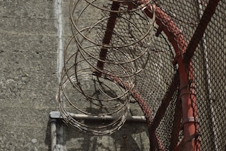A metal fence with coiled razor wire running along its top, casting shadows on a concrete surface. The fence has a red support structure adding a touch of color to the otherwise muted scene.