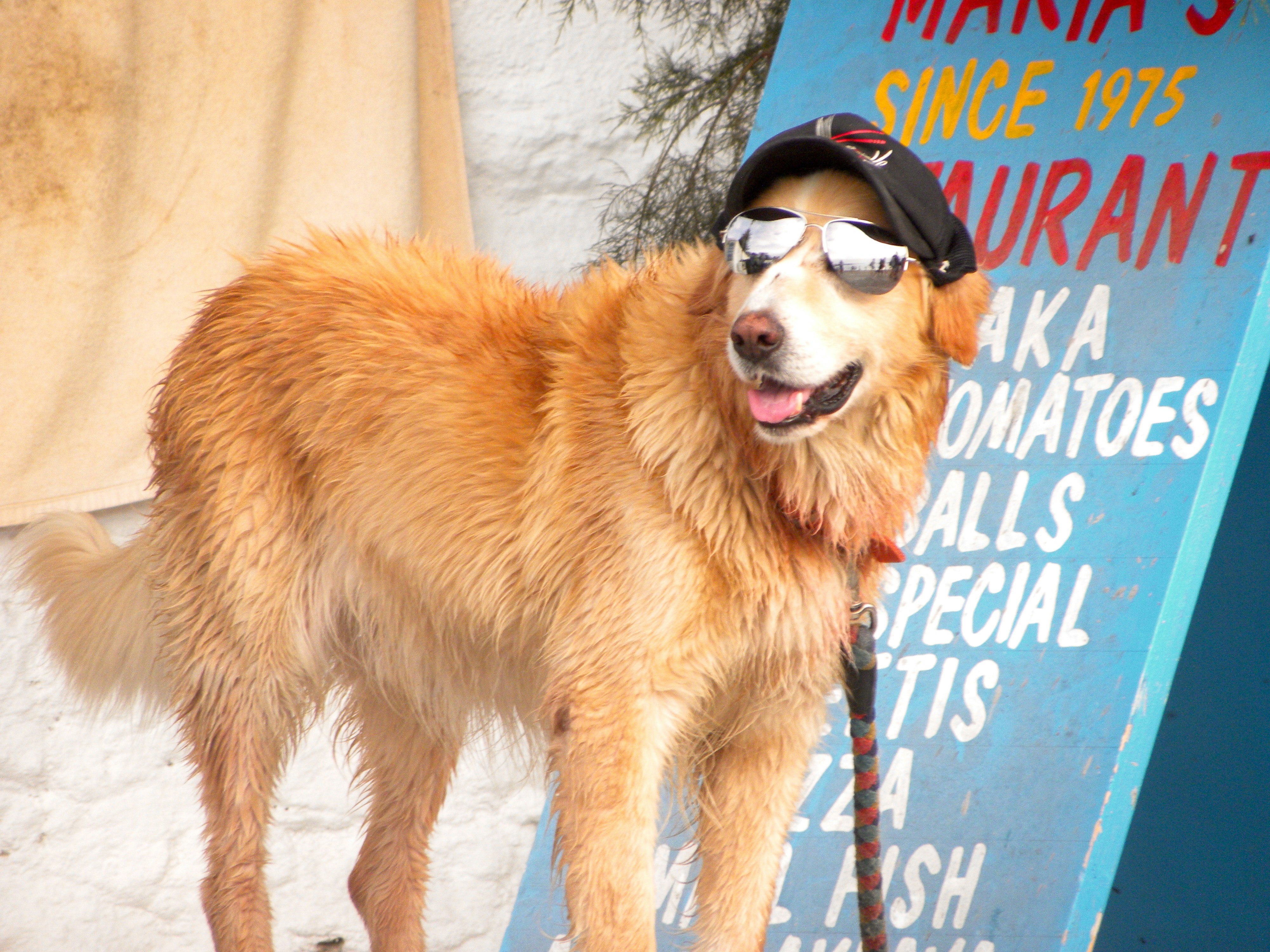 Free Unsplash photo from Margaret Creus