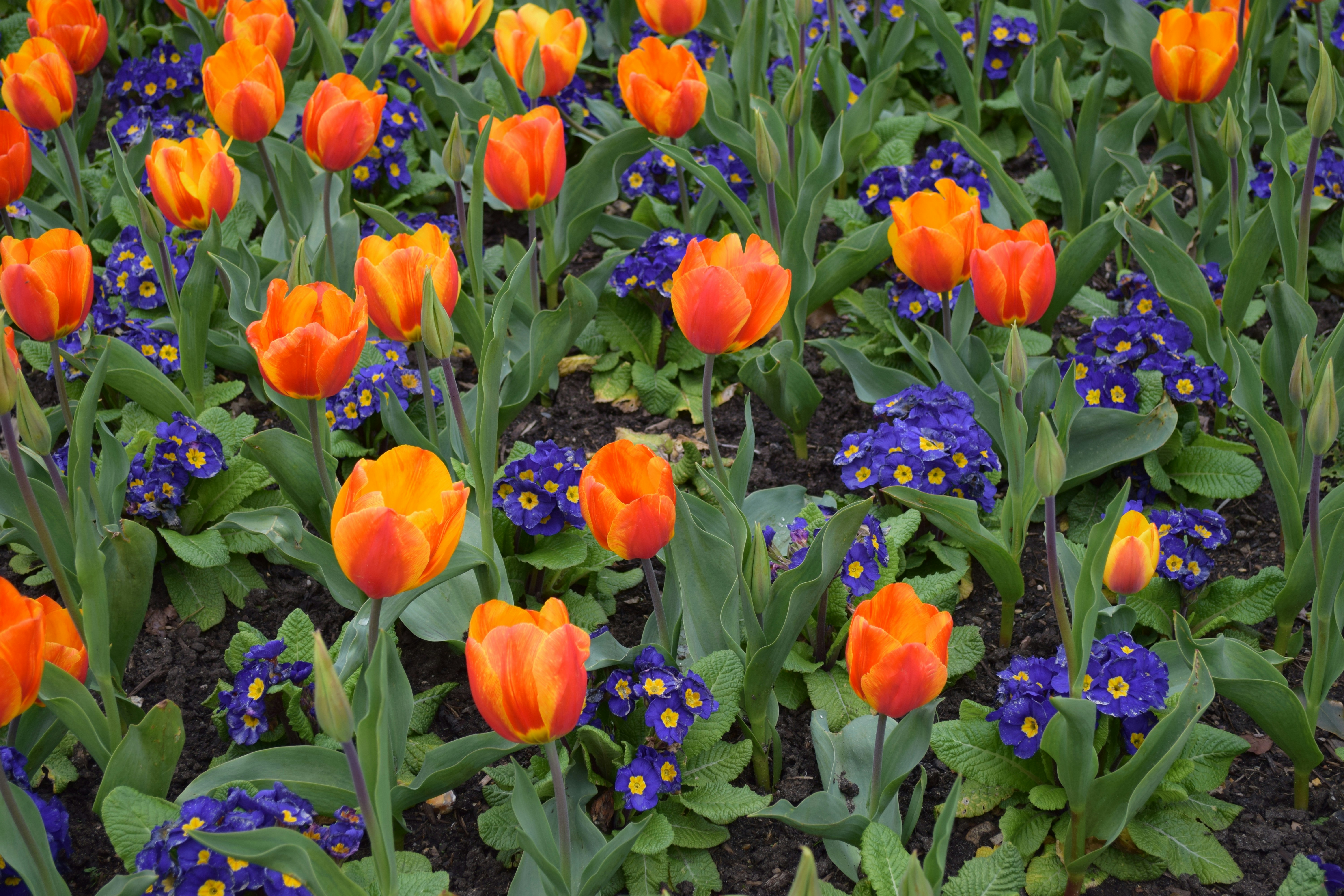 Free Unsplash photo from Margaret Creus