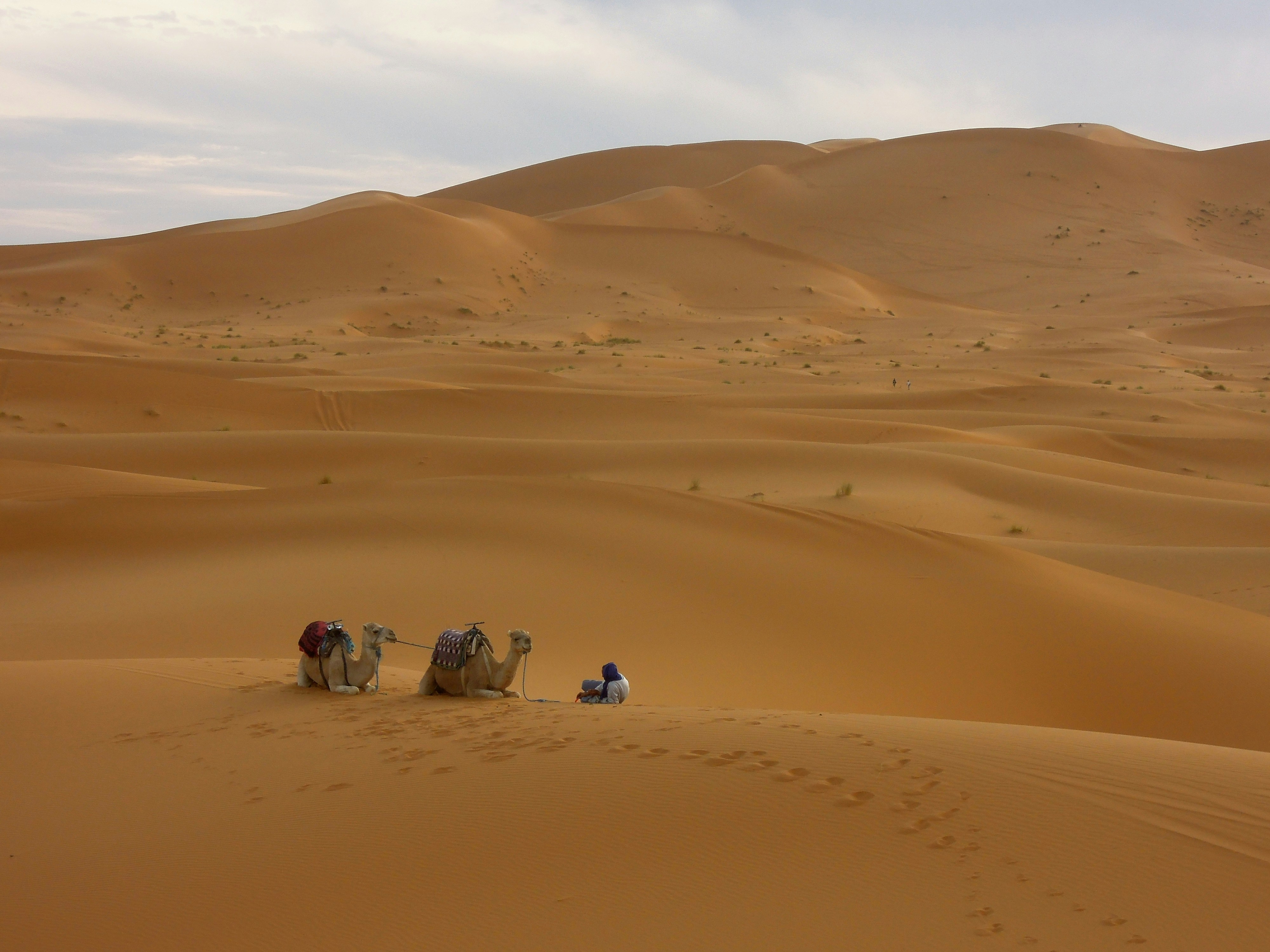 Free Unsplash photo from Raja Gumienny