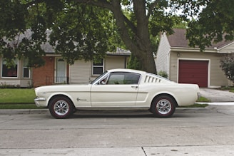 white coupe in front of tree during daytime