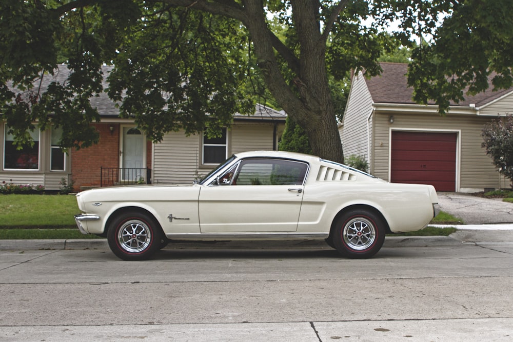 white coupe in front of tree during daytime