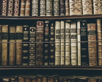 books filed on bookshelf