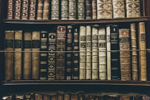 A collection of vintage, leather-bound books arranged neatly on wooden shelves. The spines of the books display intricate gold embossing and titles, showcasing a sense of antiquity and elegance.