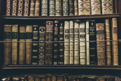 books filed on bookshelf history zoom background