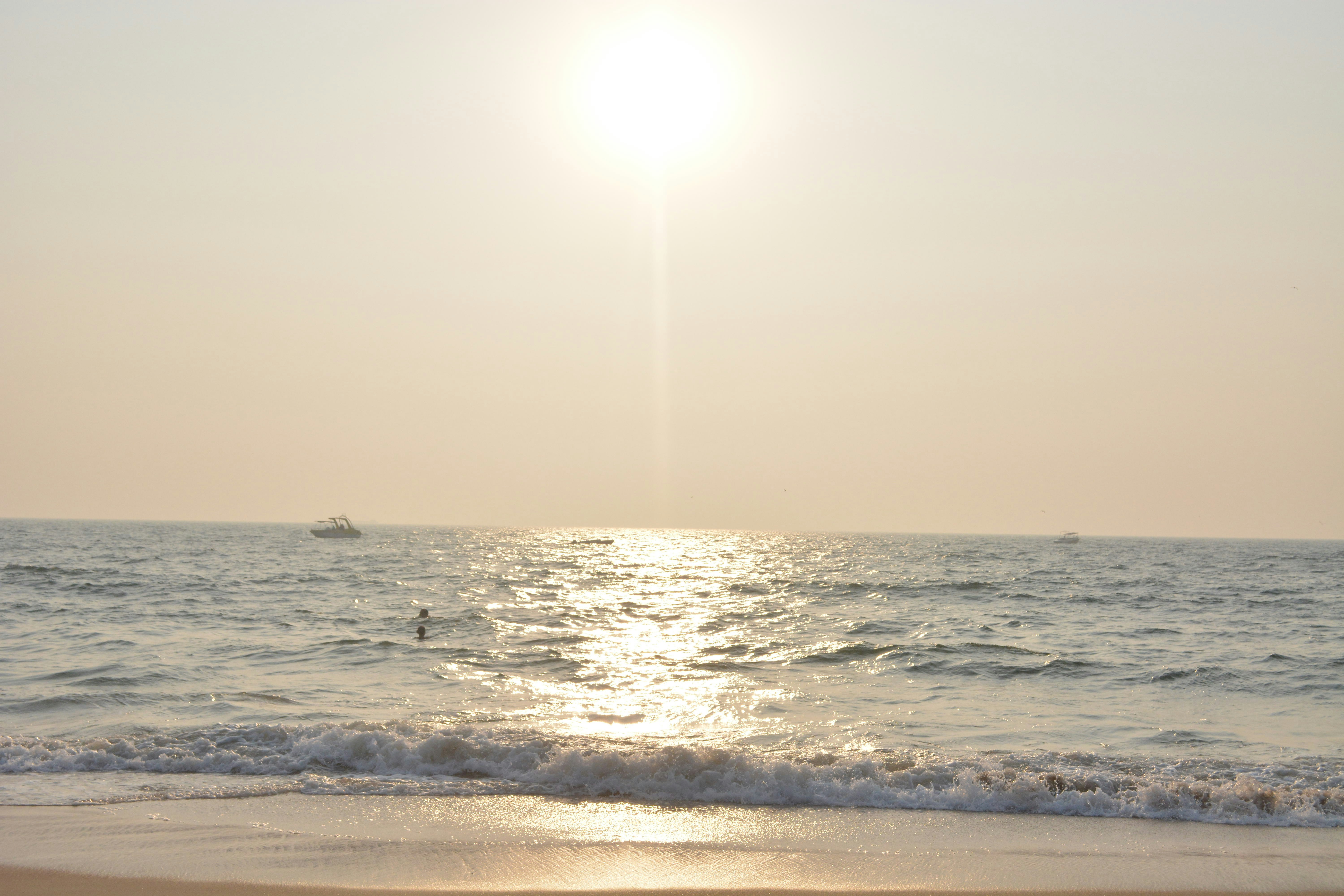 Free Unsplash photo from Kevin  William David