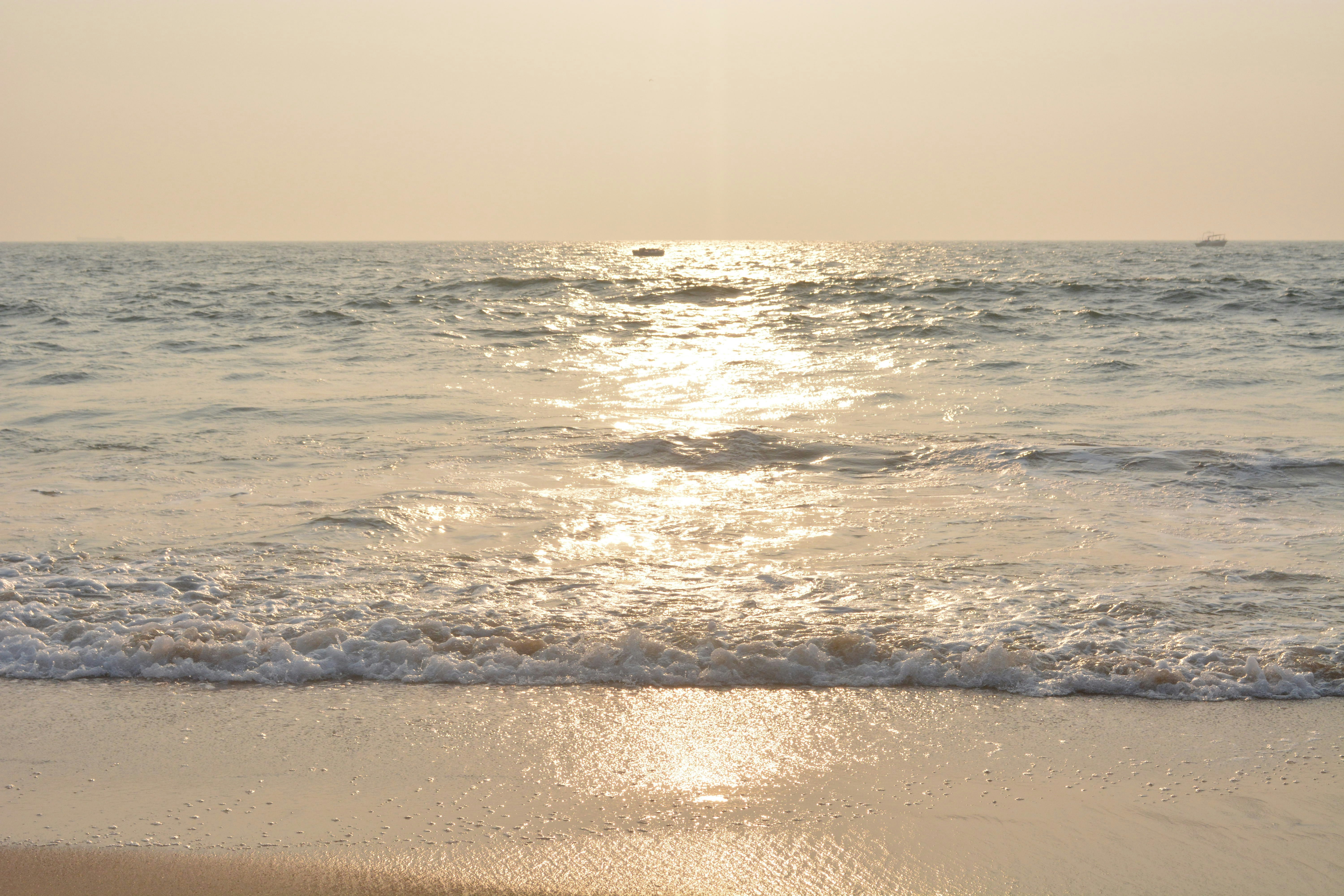 Free Unsplash photo from Kevin  William David