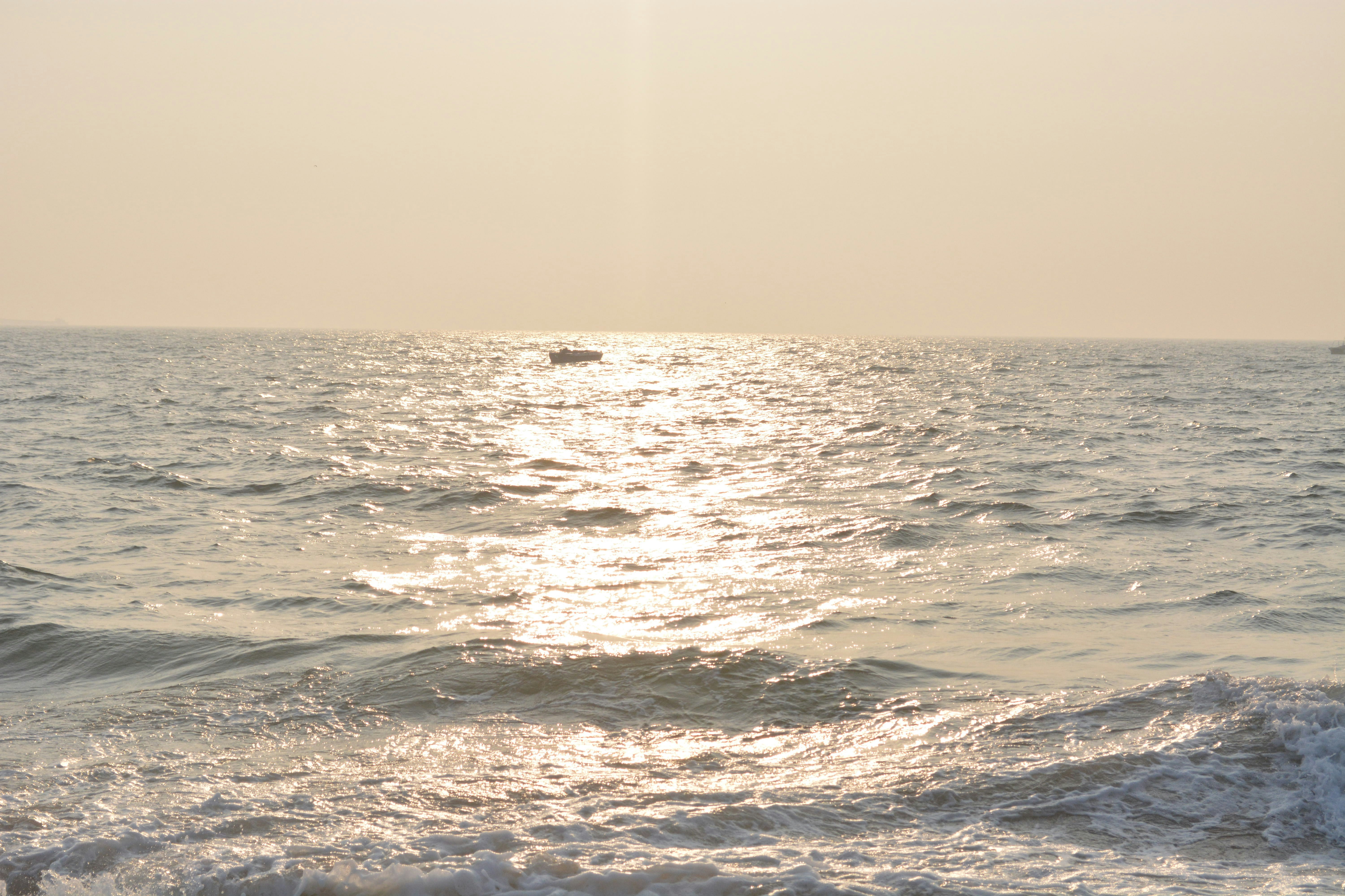 Free Unsplash photo from Kevin  William David