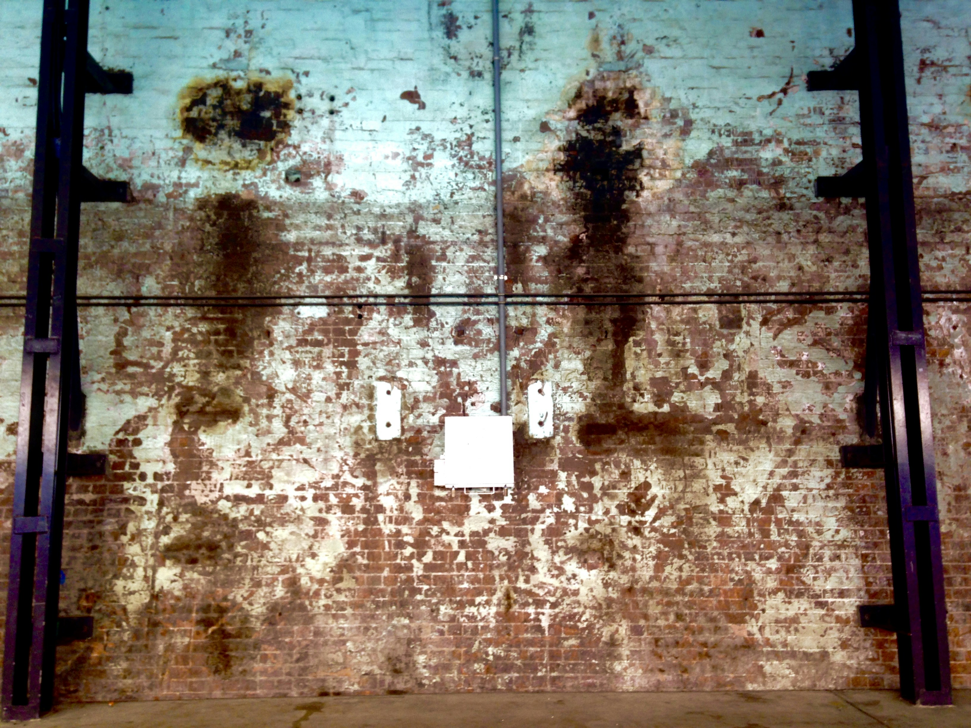 Free Unsplash photo from Katie Yarian