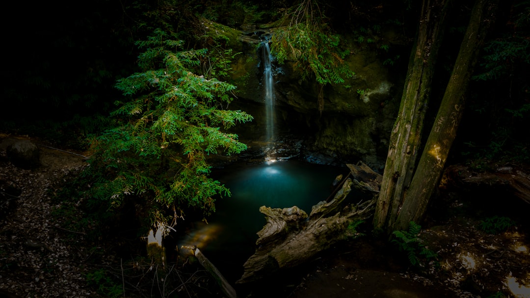 high angle view of water stream