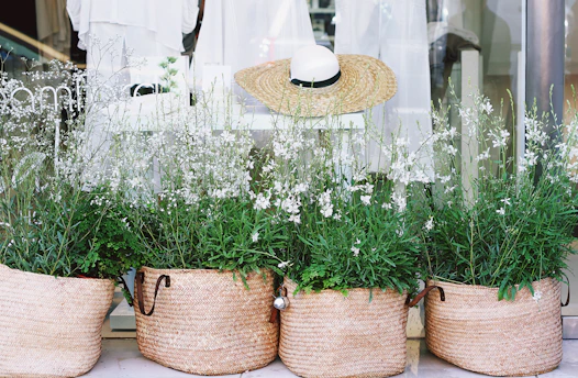 A display of four woven baskets filled with lush green plants featuring delicate white flowers. Behind the baskets, a straw hat with a black band is propped against a window, partially concealing a white garment inside the store. The setting suggests a blend of natural elements with a hint of fashion, offering a peaceful and inviting storefront display.