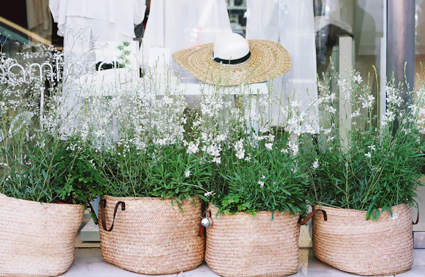 A display of four woven baskets filled with lush green plants featuring delicate white flowers. Behind the baskets, a straw hat with a black band is propped against a window, partially concealing a white garment inside the store. The setting suggests a blend of natural elements with a hint of fashion, offering a peaceful and inviting storefront display.