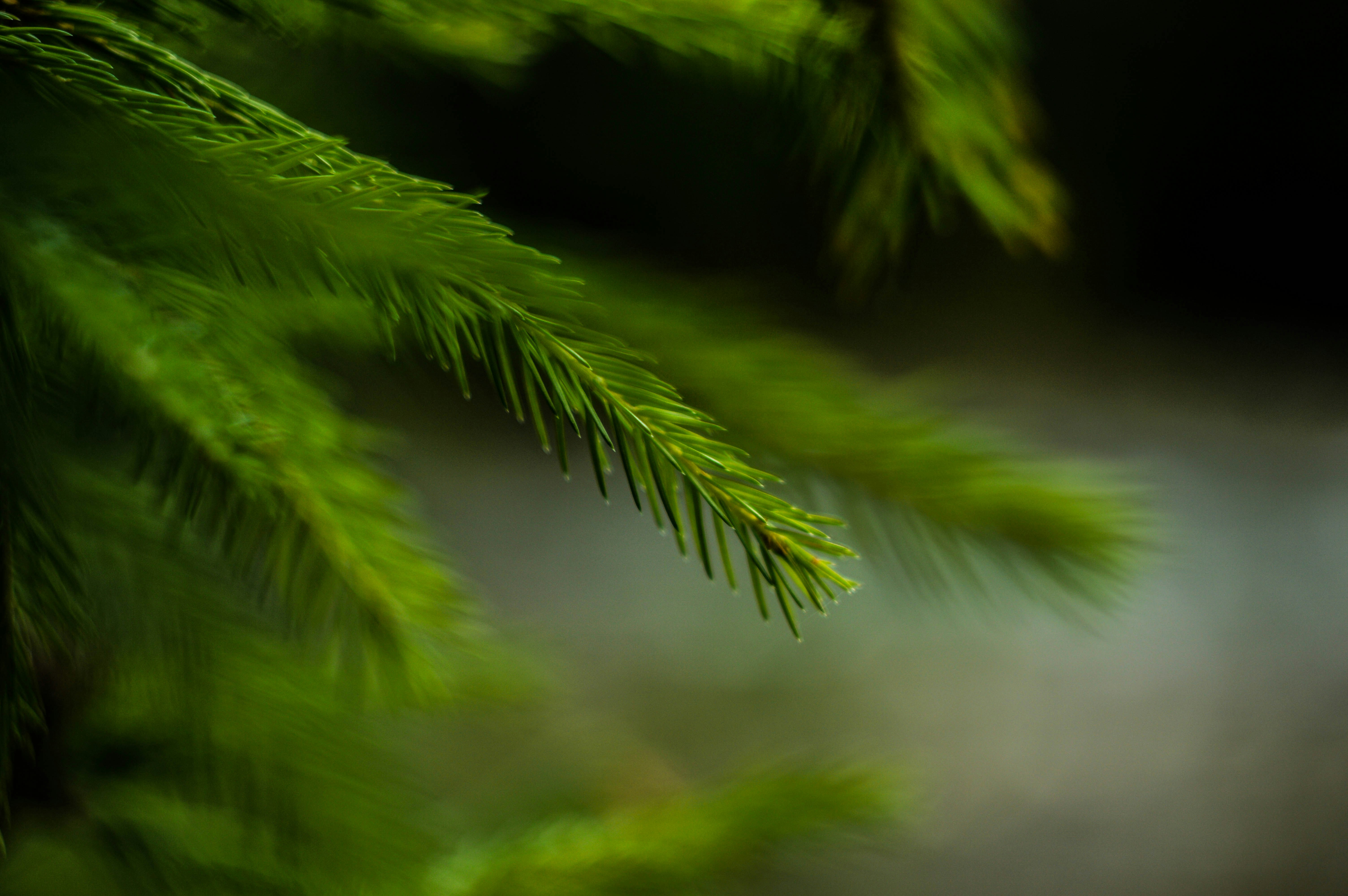 Free Unsplash photo from Mariana Vusiatytska