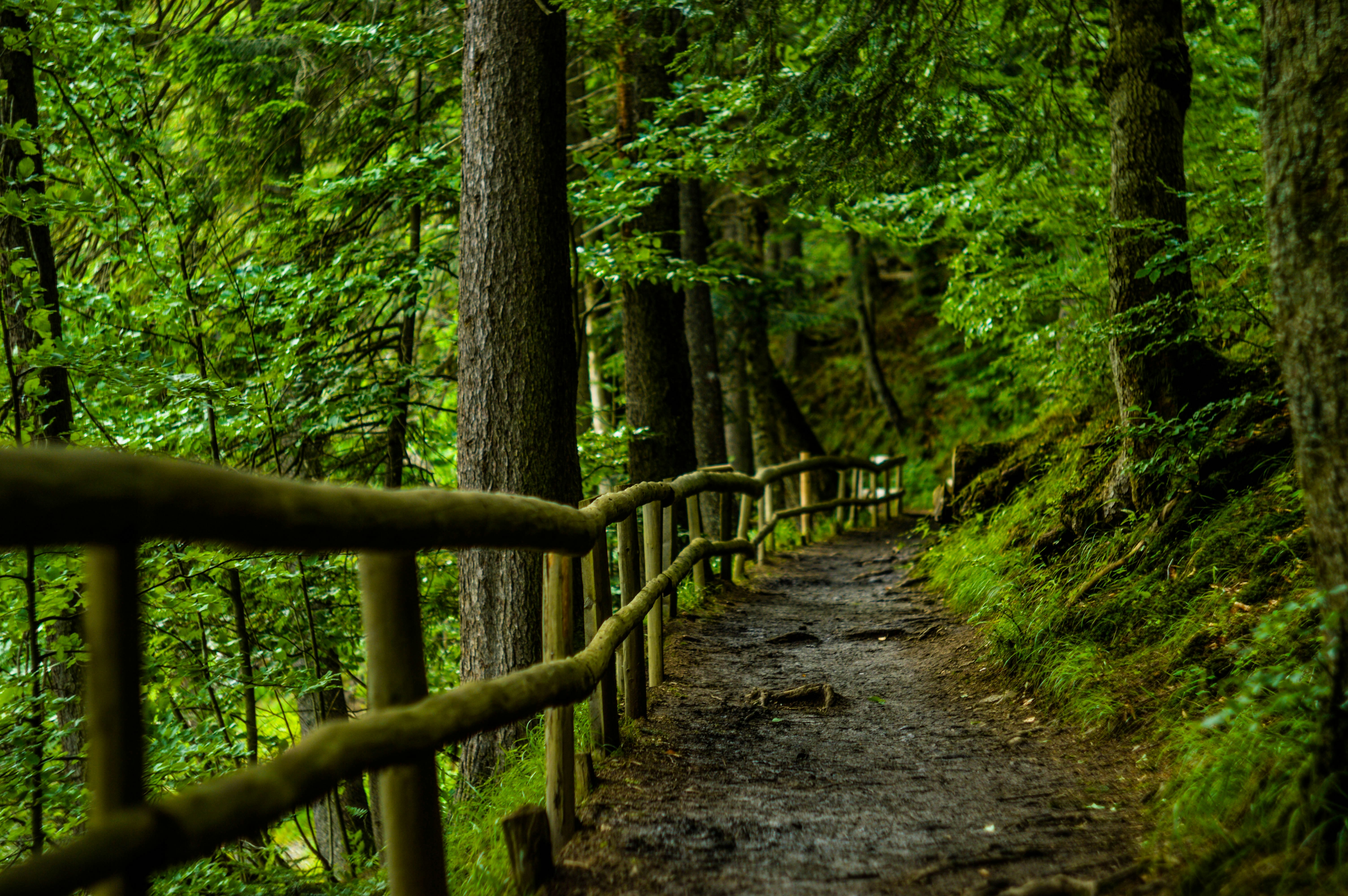 Free Unsplash photo from Mariana Vusiatytska