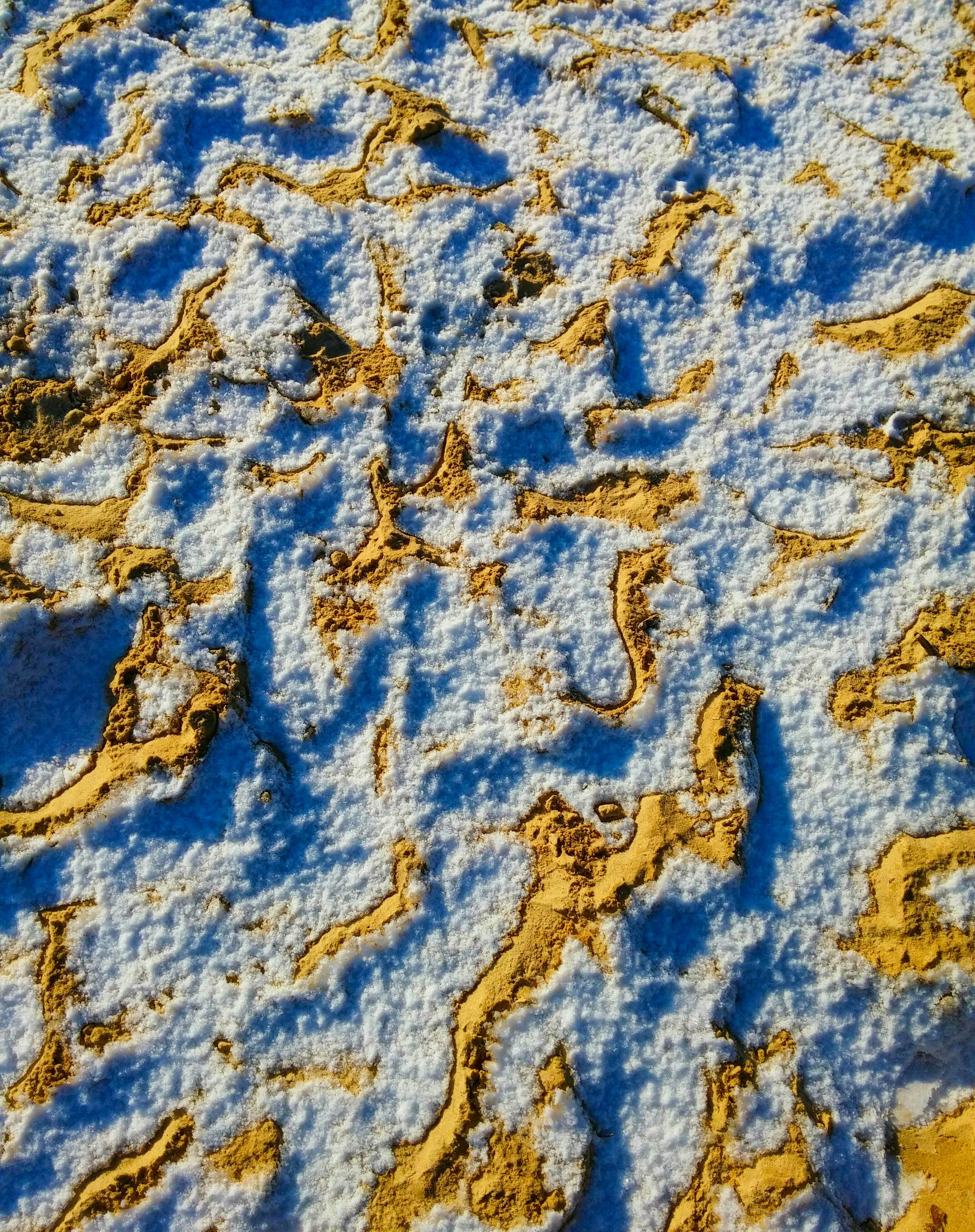 Free Unsplash photo from Timon Tlomaczewski