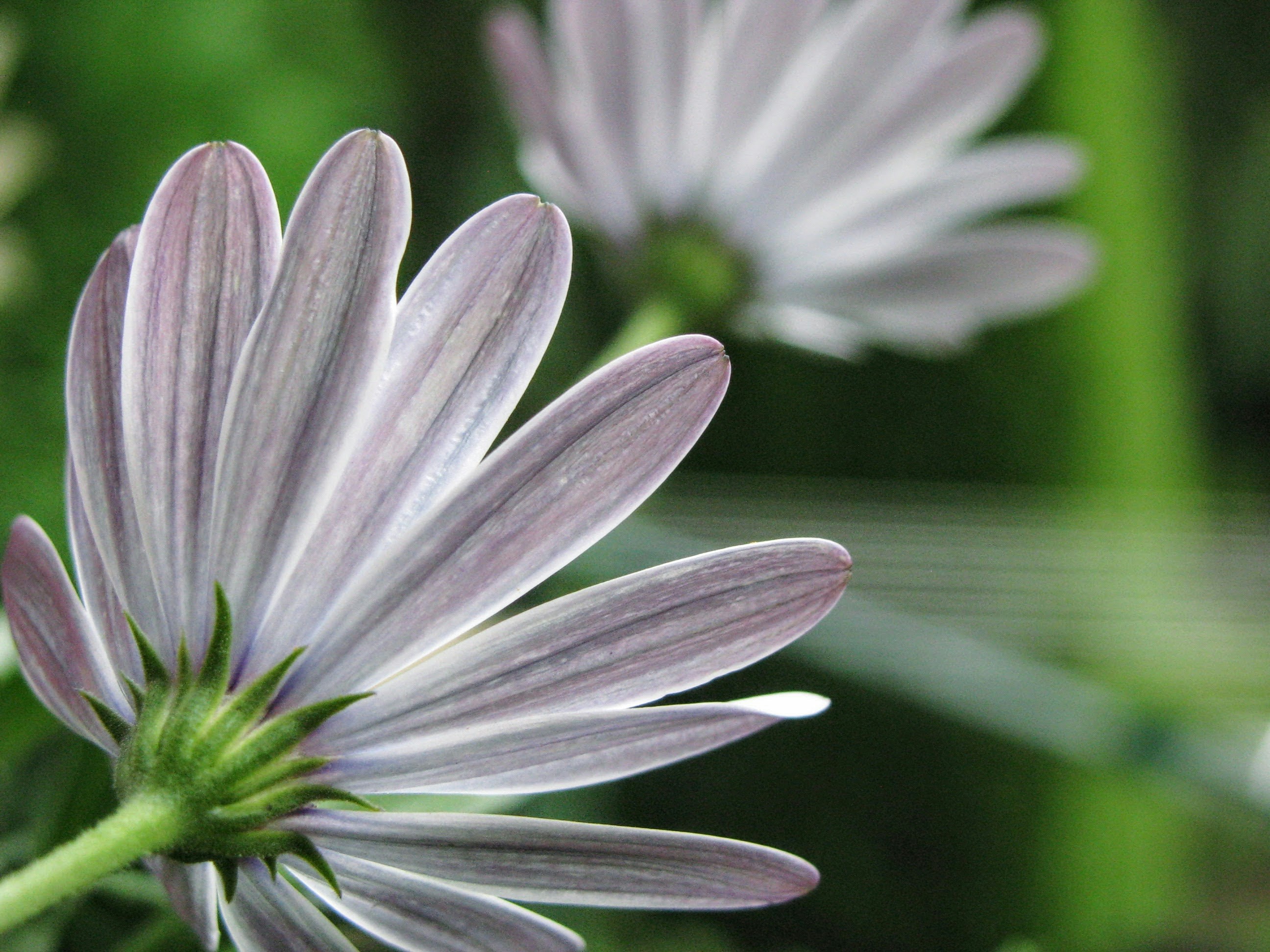 Free Unsplash photo from Zoe Gabo