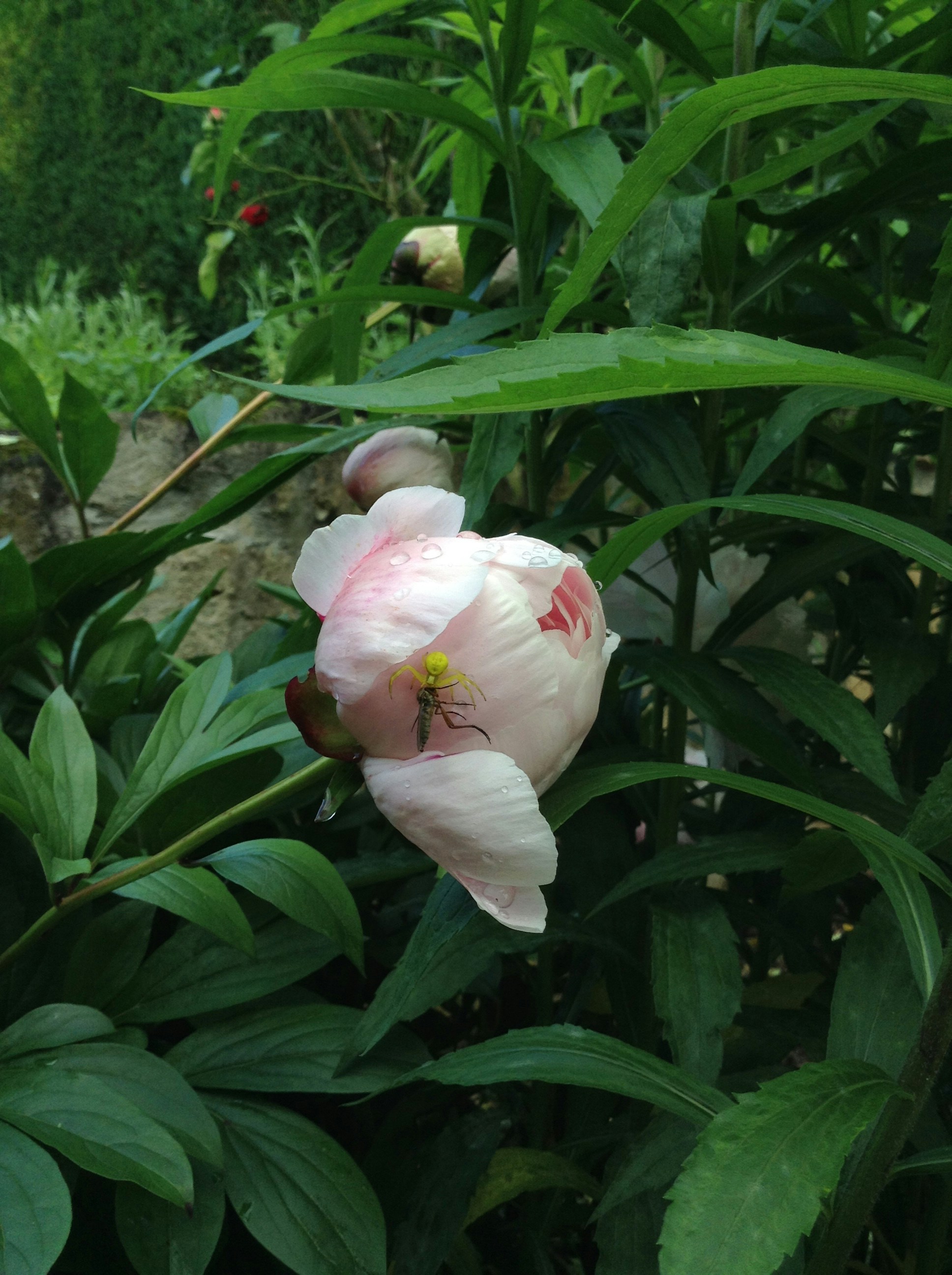 Free Unsplash photo from Zoe Gabo