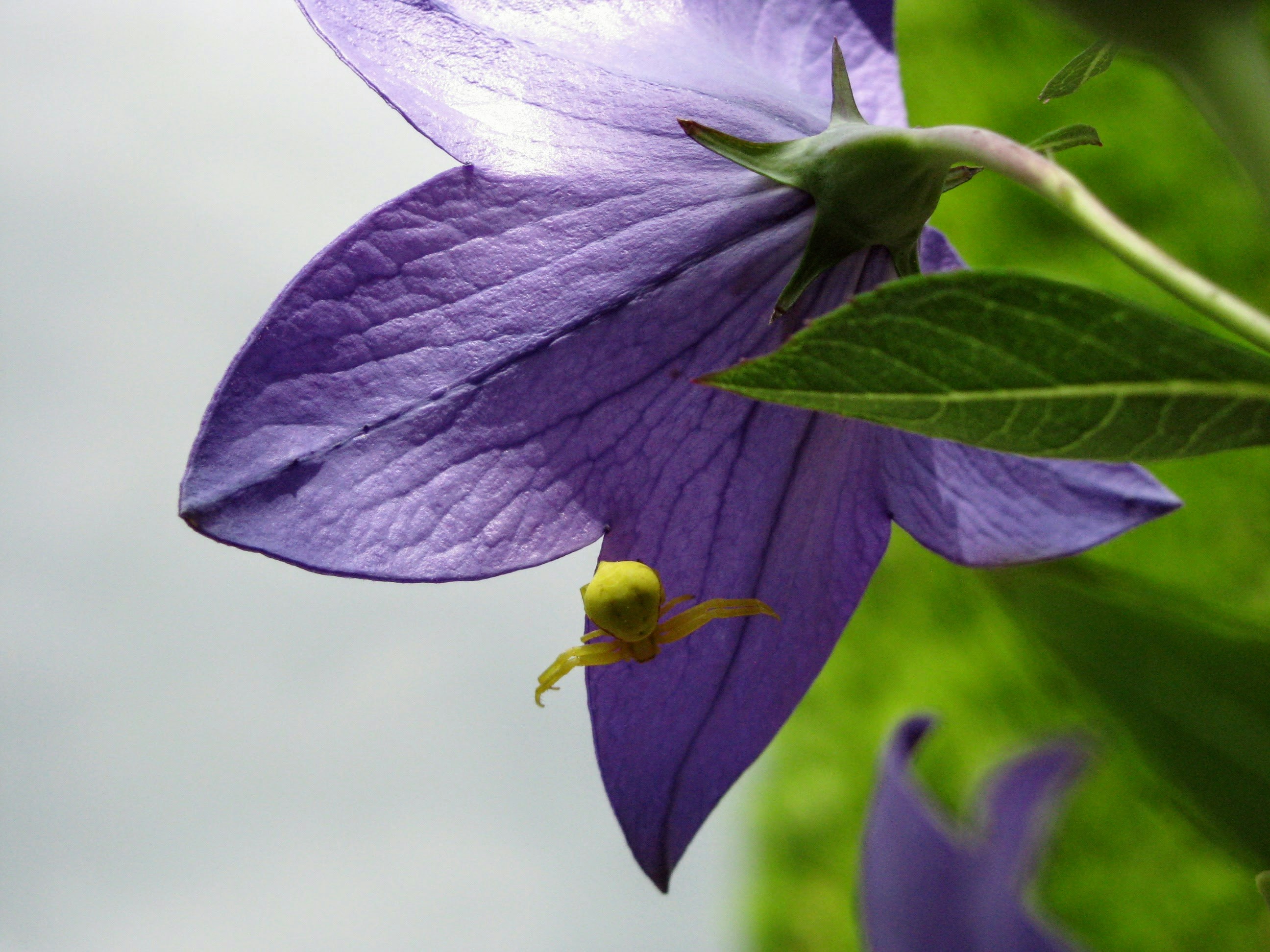 Free Unsplash photo from Zoe Gabo