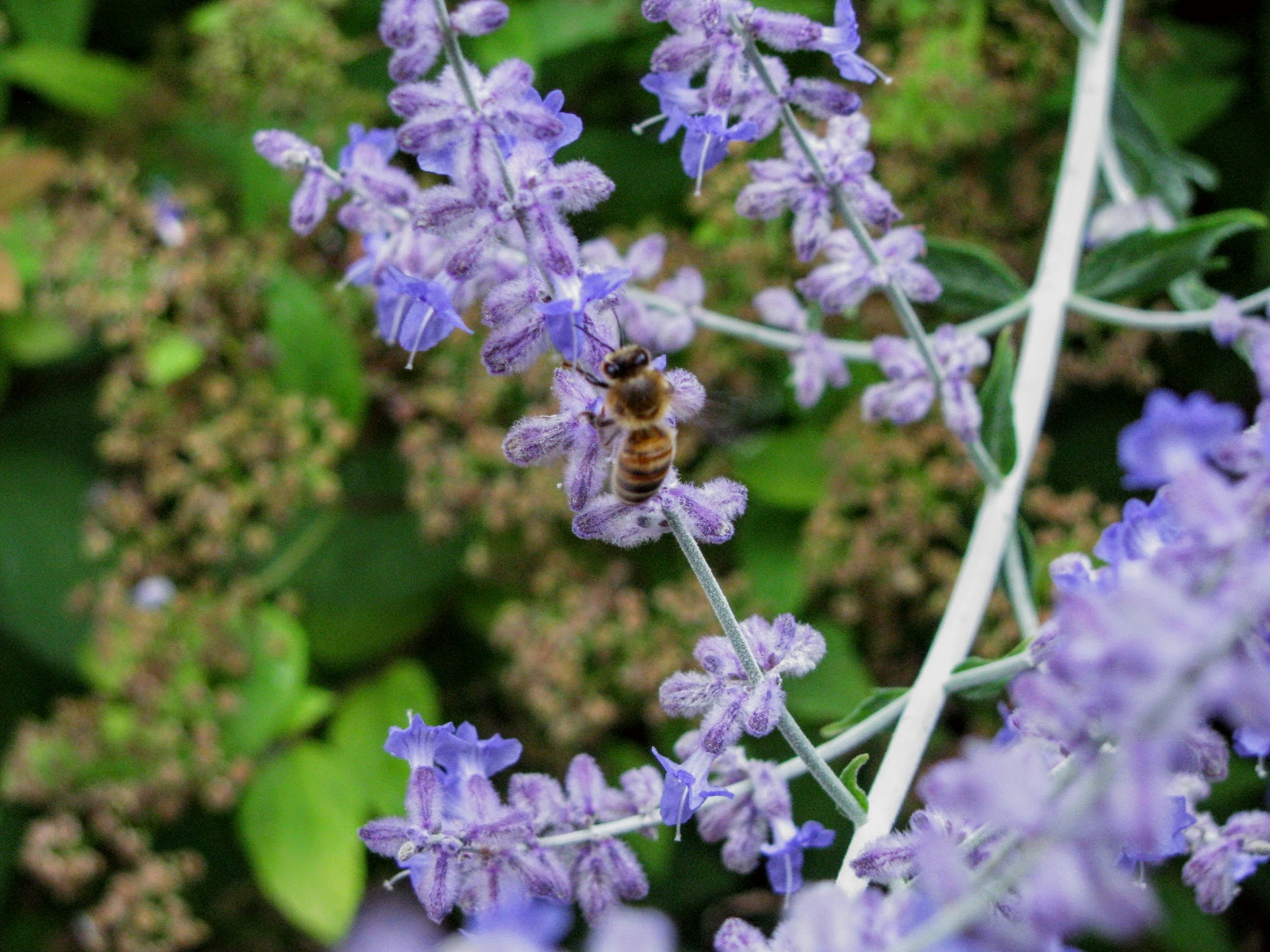 Free Unsplash photo from Zoe Gabo