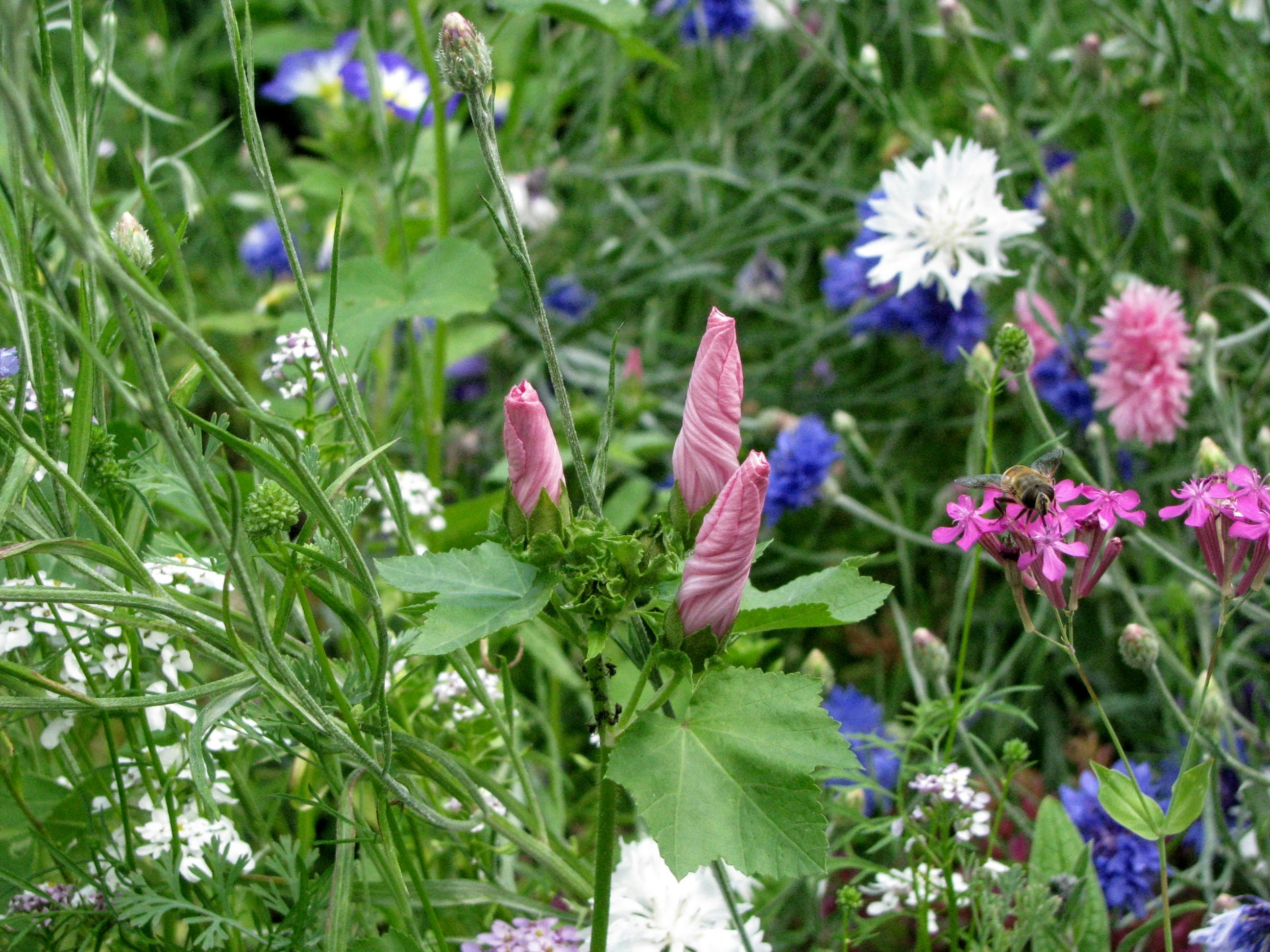 Free Unsplash photo from Zoe Gabo