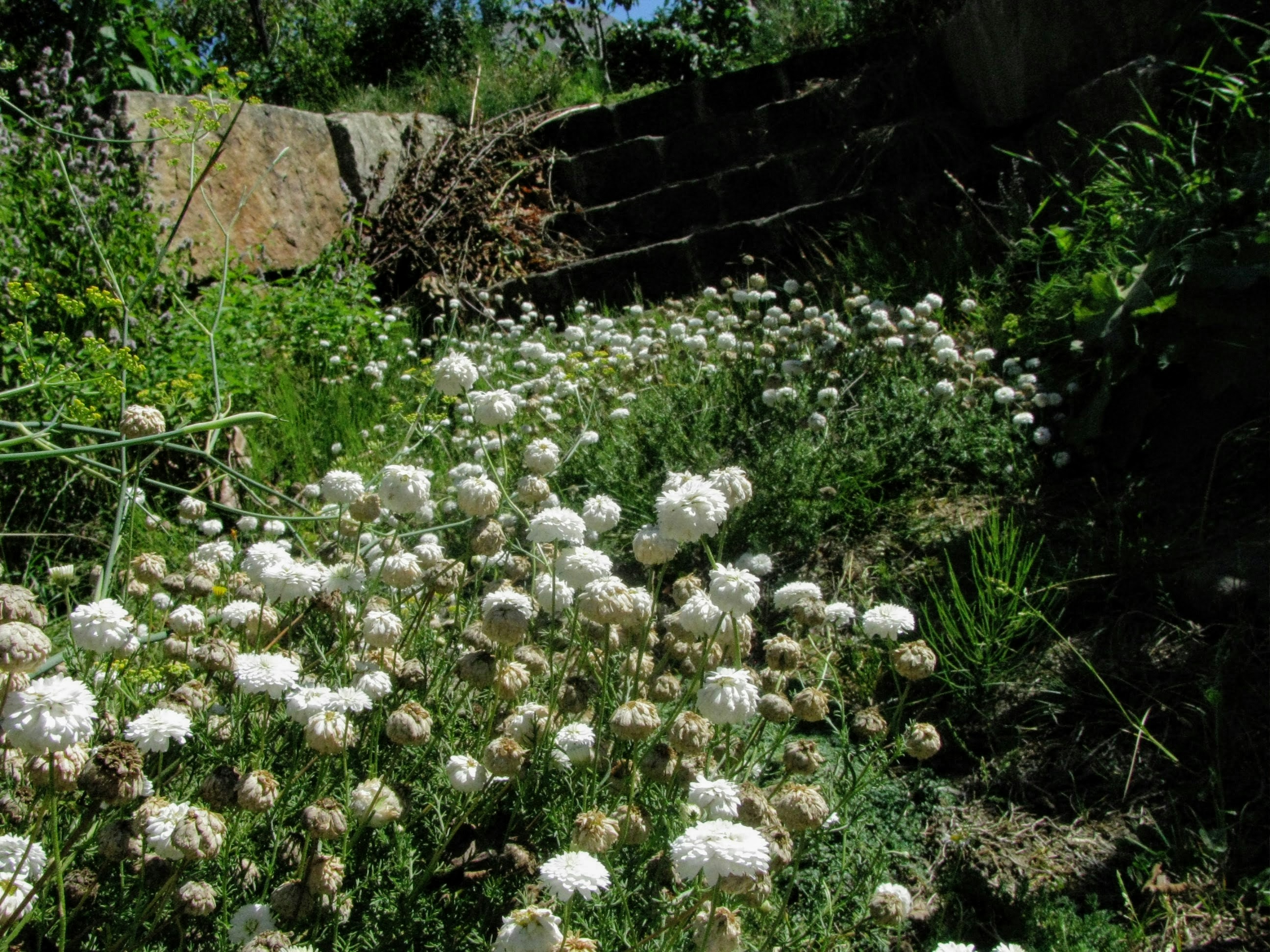 Free Unsplash photo from Zoe Gabo