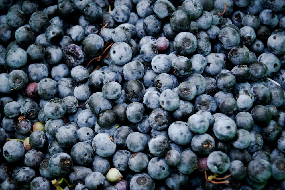 Schüssel mit Heidelbeeren