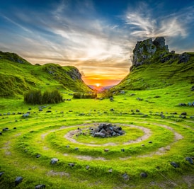 green grass field during sunset