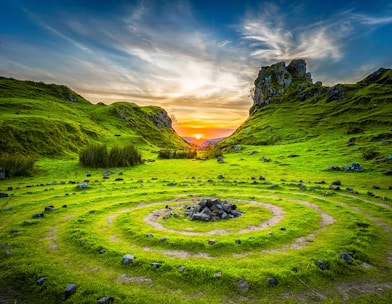 green grass field during sunset