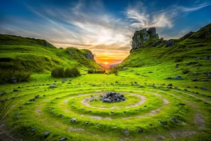 green grass field during sunset