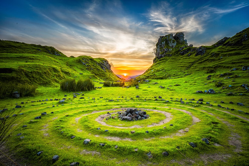 Grünes Grasfeld bei Sonnenuntergang