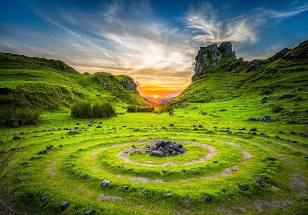 green grass field during sunset