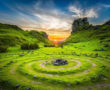 green grass field during sunset