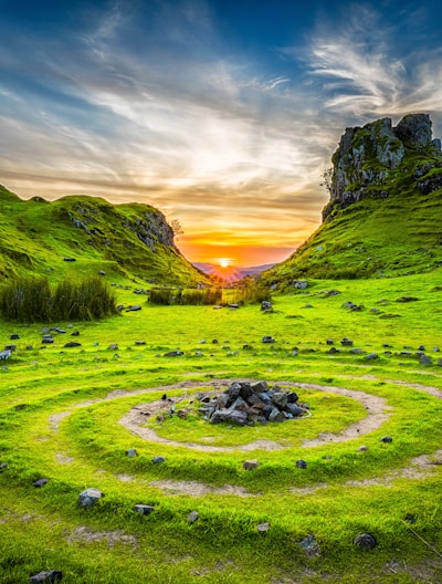 green grass field during sunset