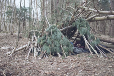 Illustration of a person setting up a basic offgrid shelter in the forest.