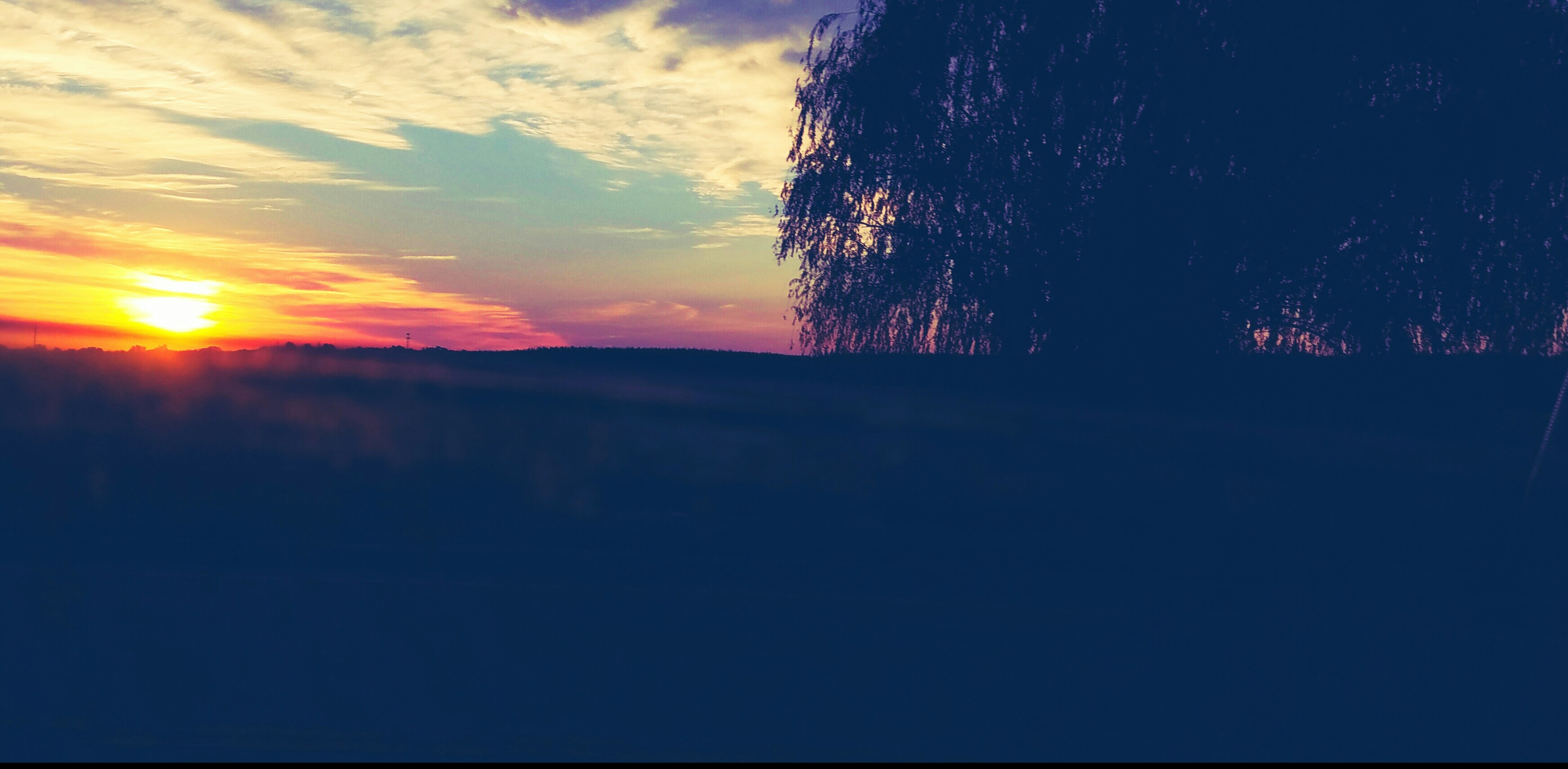 Free Unsplash photo from Craig Anderson