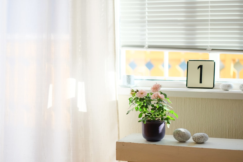 Window Sill Pictures Download Free Images On Unsplash