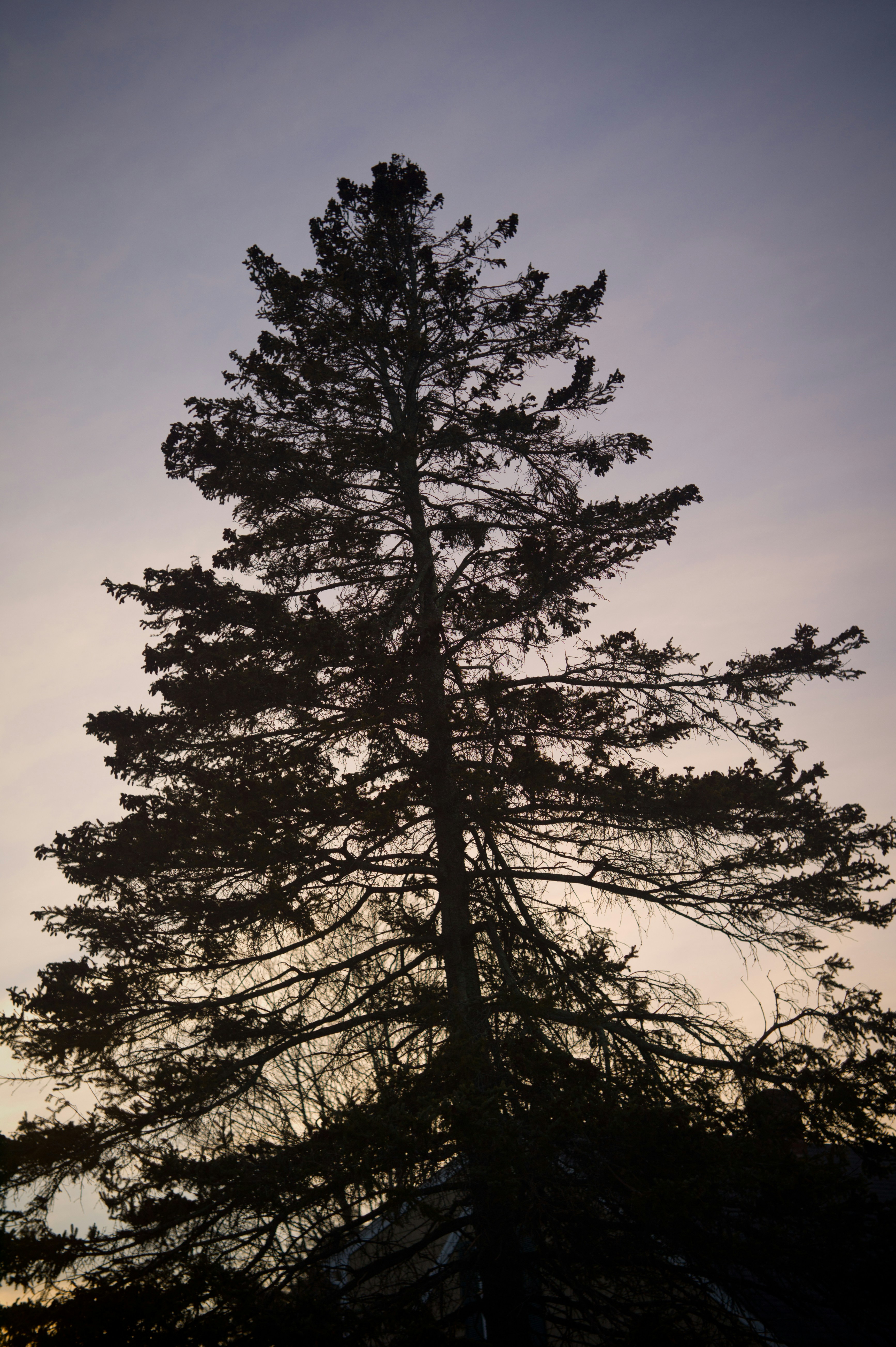 Free Unsplash photo from chris  carr