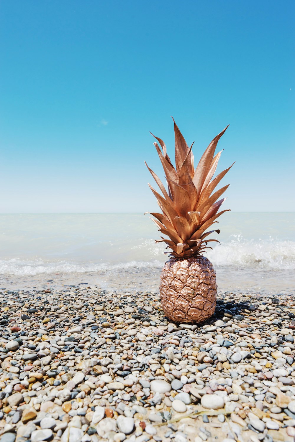 a pineapple sitting on top of a rock covered beach