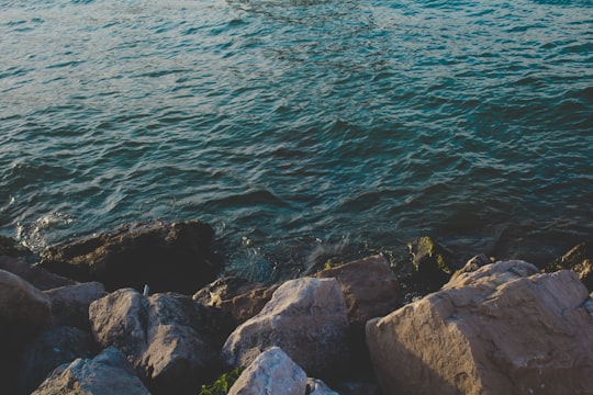 gray rock near body of water during daytime in Windsor Canada