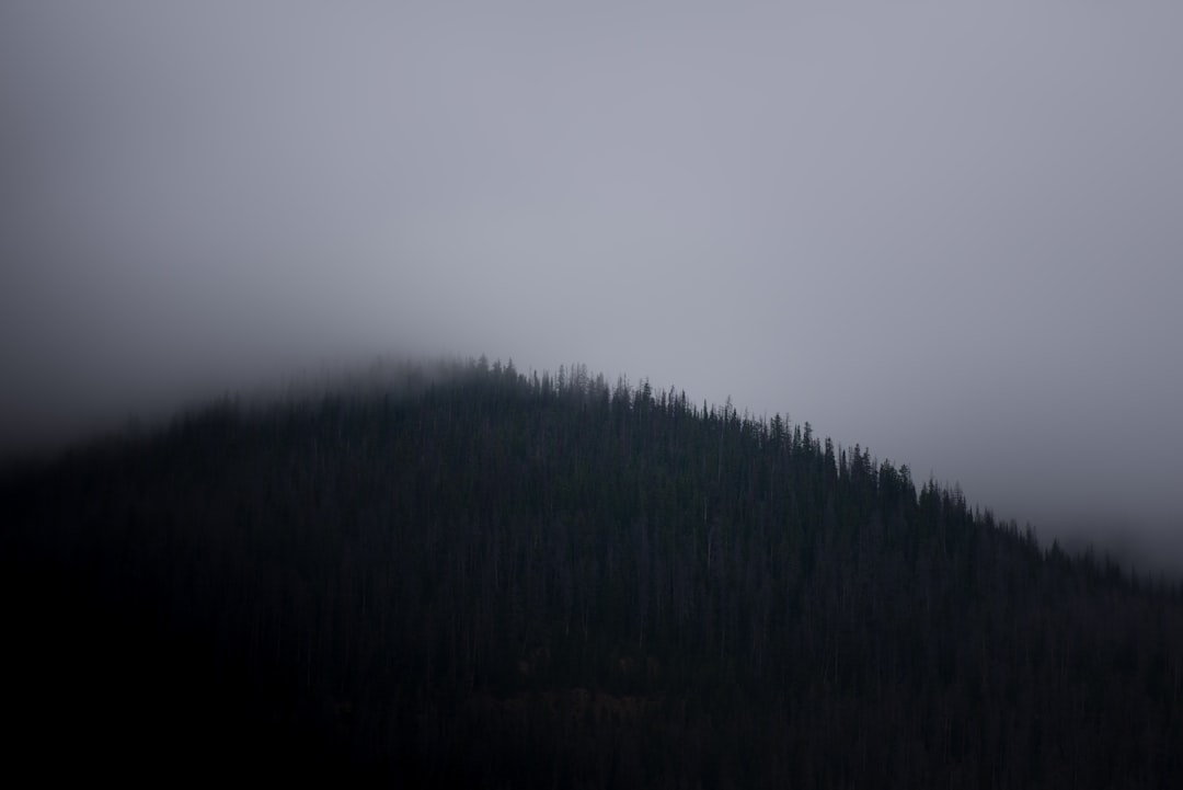 Mountain photo spot Colorado Estes Park