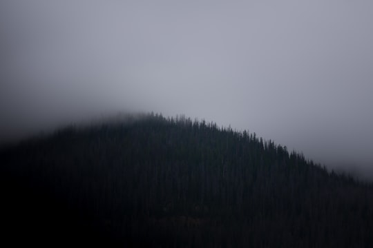 fog covered mountain in Colorado United States