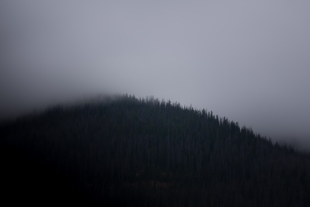 montagna coperta di nebbia