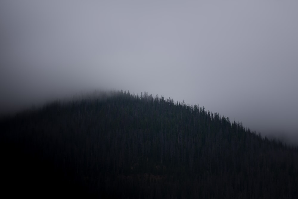fog covered mountain